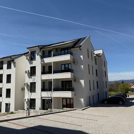 Aleksandar Apartman Sokobanja エクステリア 写真