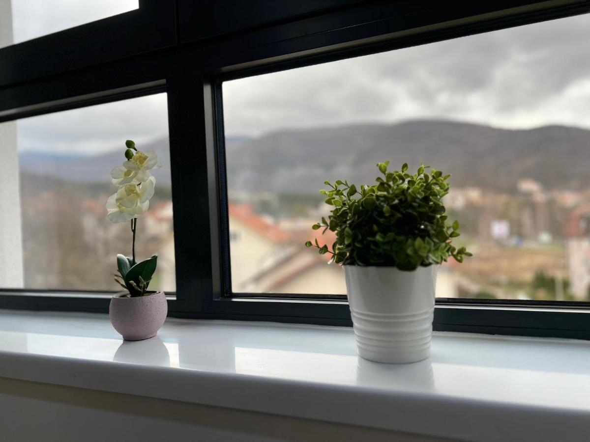 Aleksandar Apartman Sokobanja エクステリア 写真