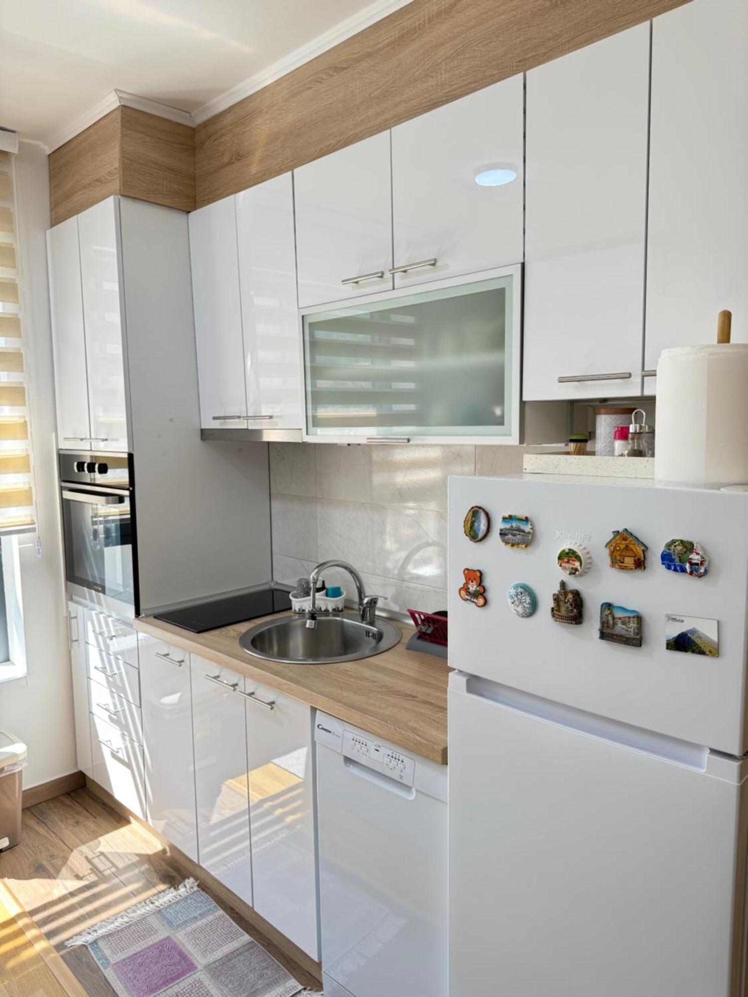 Aleksandar Apartman Sokobanja エクステリア 写真