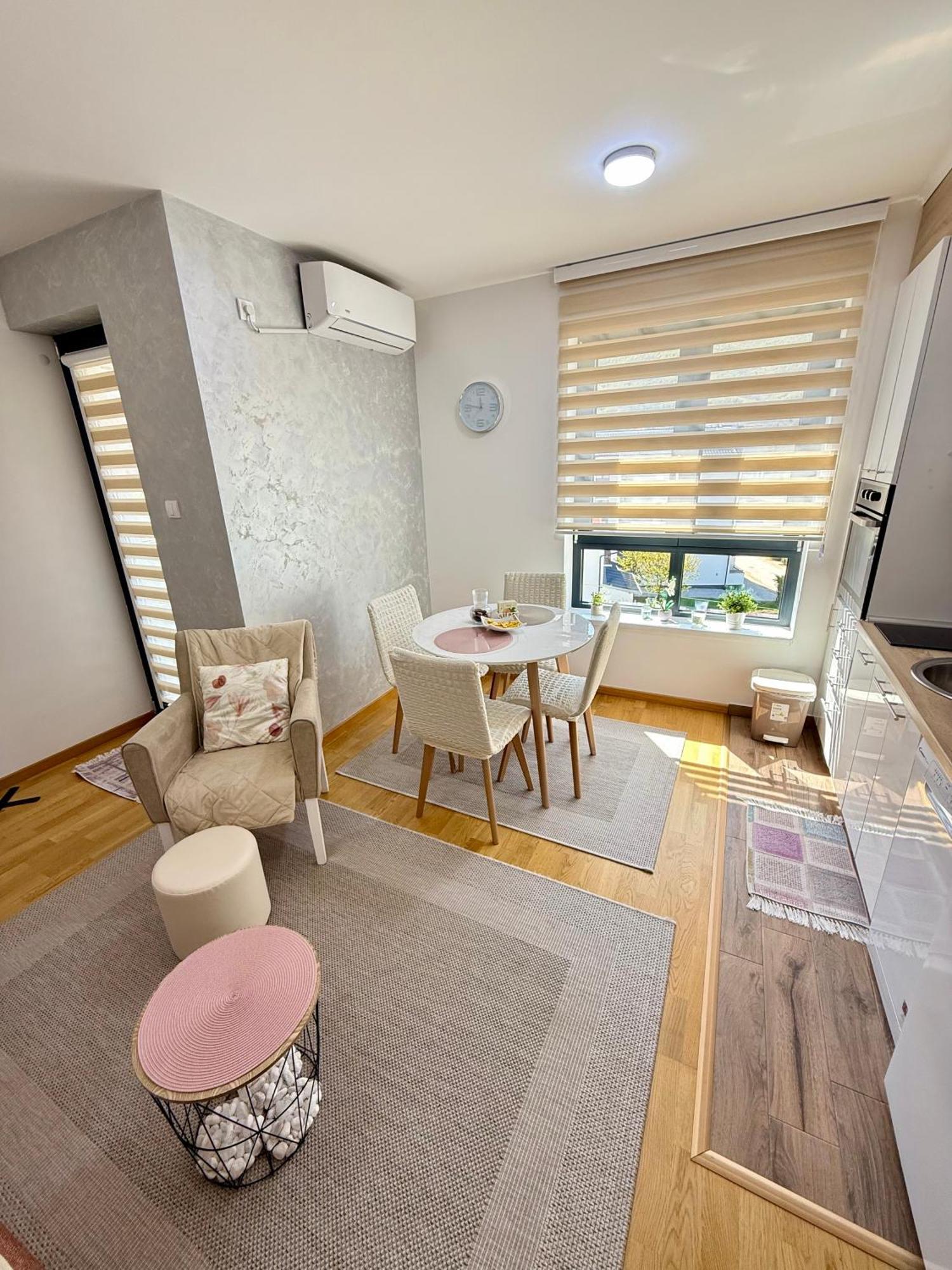 Aleksandar Apartman Sokobanja エクステリア 写真