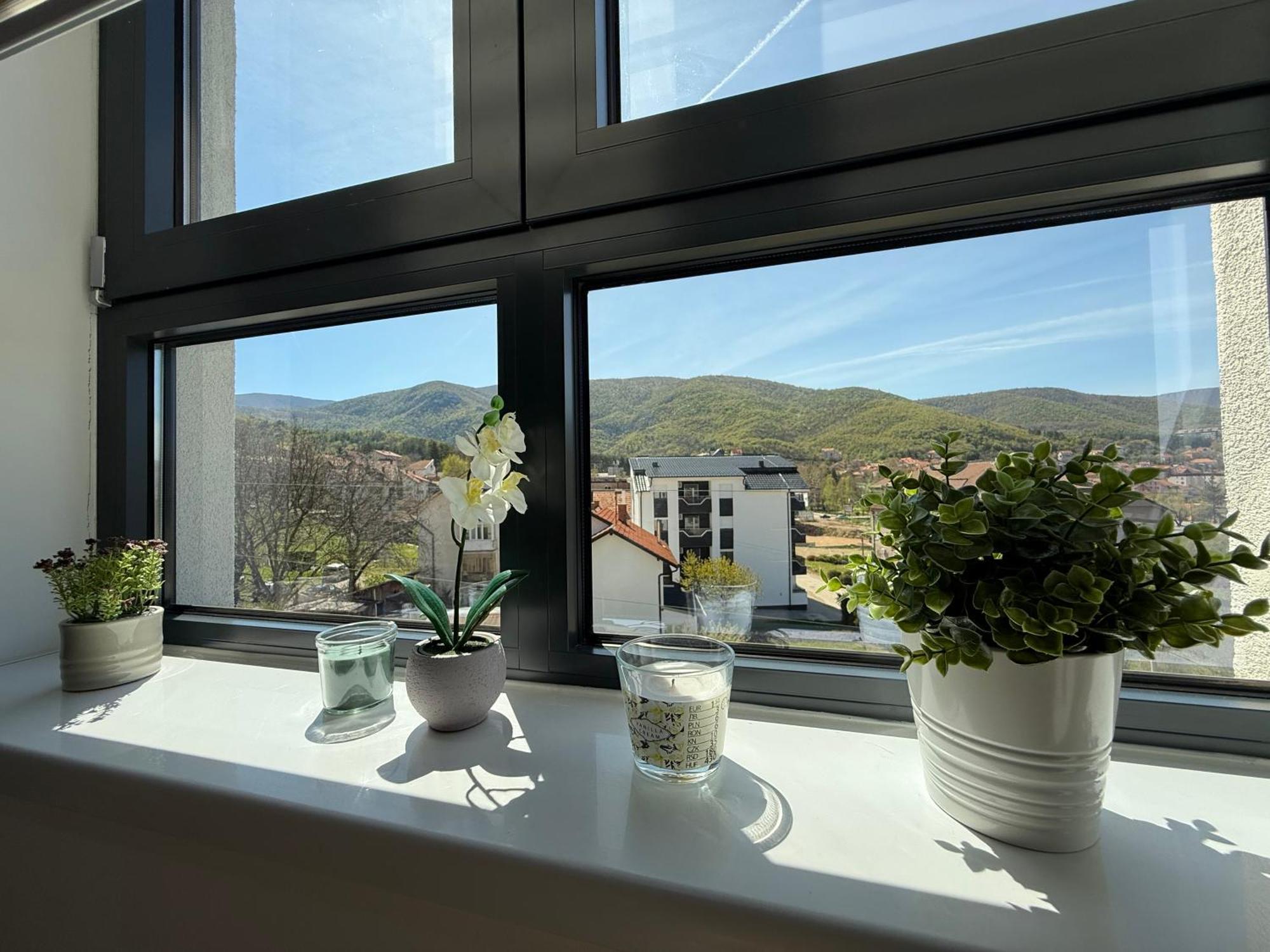 Aleksandar Apartman Sokobanja エクステリア 写真